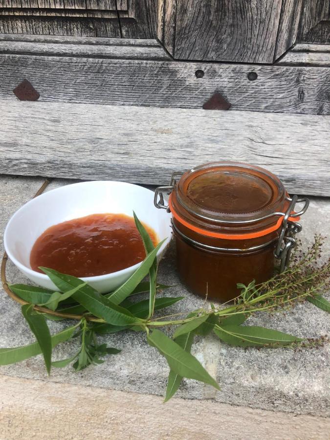 Maison Lou Roucas Cabrieres-d'Aigues 외부 사진